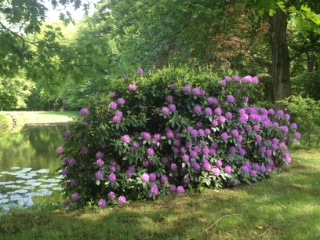 English Country Park