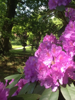 The English Country Park